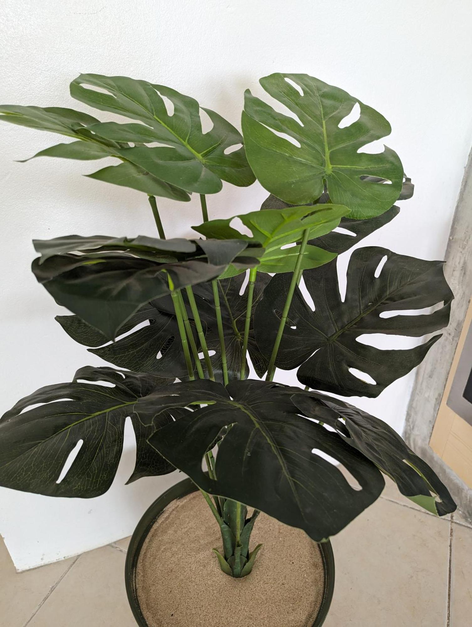 Tropical Leaves Sea View Penthouse Ca Greta 2 Floor Apartment Сал Рей Екстериор снимка